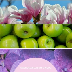 Millefiori Milano Magnolia Blossom & Wood pałeczki zapachowe- 100 ml